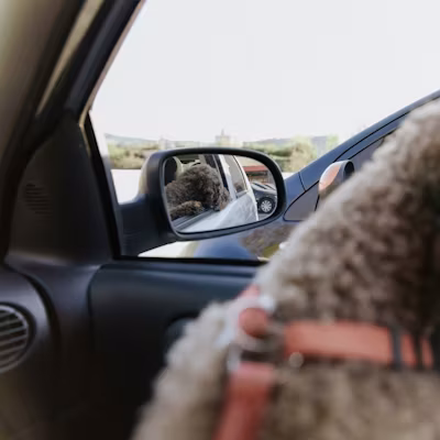 Your journey. Your choice. Just drive.